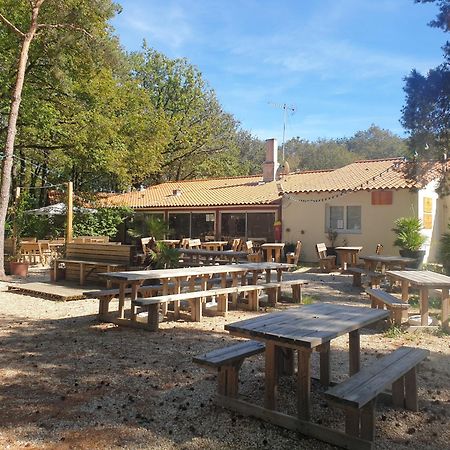 Mobilhome Proche Puy Dufou La Boissiere-de-Montaigu المظهر الخارجي الصورة